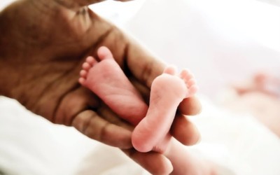 Oito em cada cem bebés que nascem em cada ano em Portugal são prematuros