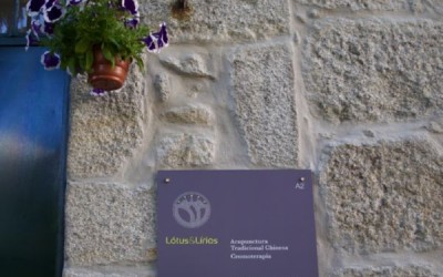 Um segredo bem guardado “entre” Lótus&Lírios