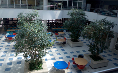 CLIP – a Solidariedade também se ensina