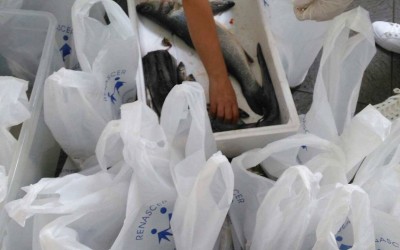 Comerciantes do Mercado de Angeiras apoiam Instituição